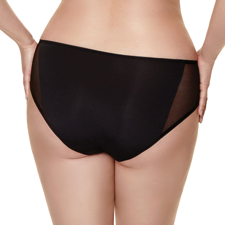 Semi Sheer Lace Bikini Panty Gorteks Salve-3