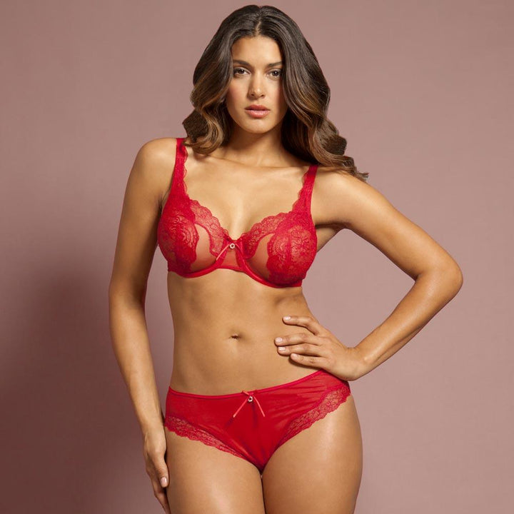 Sheer Lace Bikini Panty Lunaire Ashley-2