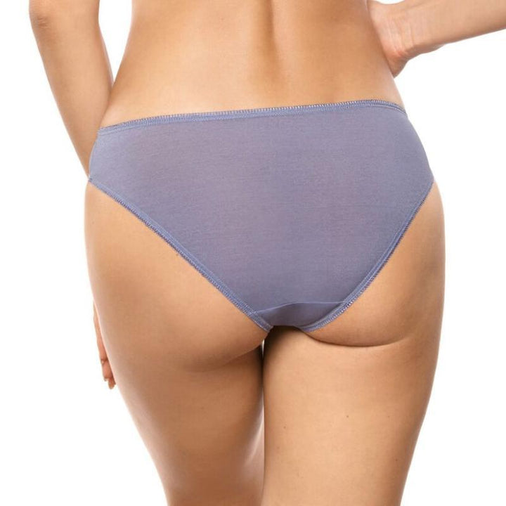 Sheer Embroidered Lace Bikini Panty Gorteks Aspen-1