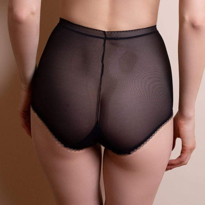 Sheer Side Lace Overlay High Waist Brief Panty Lavinia Sofia-1