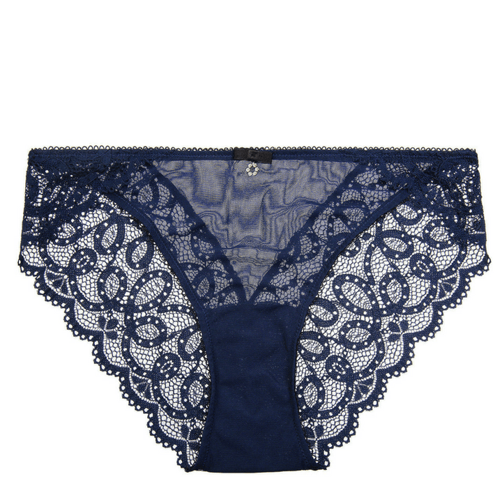 Sheer Mesh Bikini Panty Montelle Twilight-1