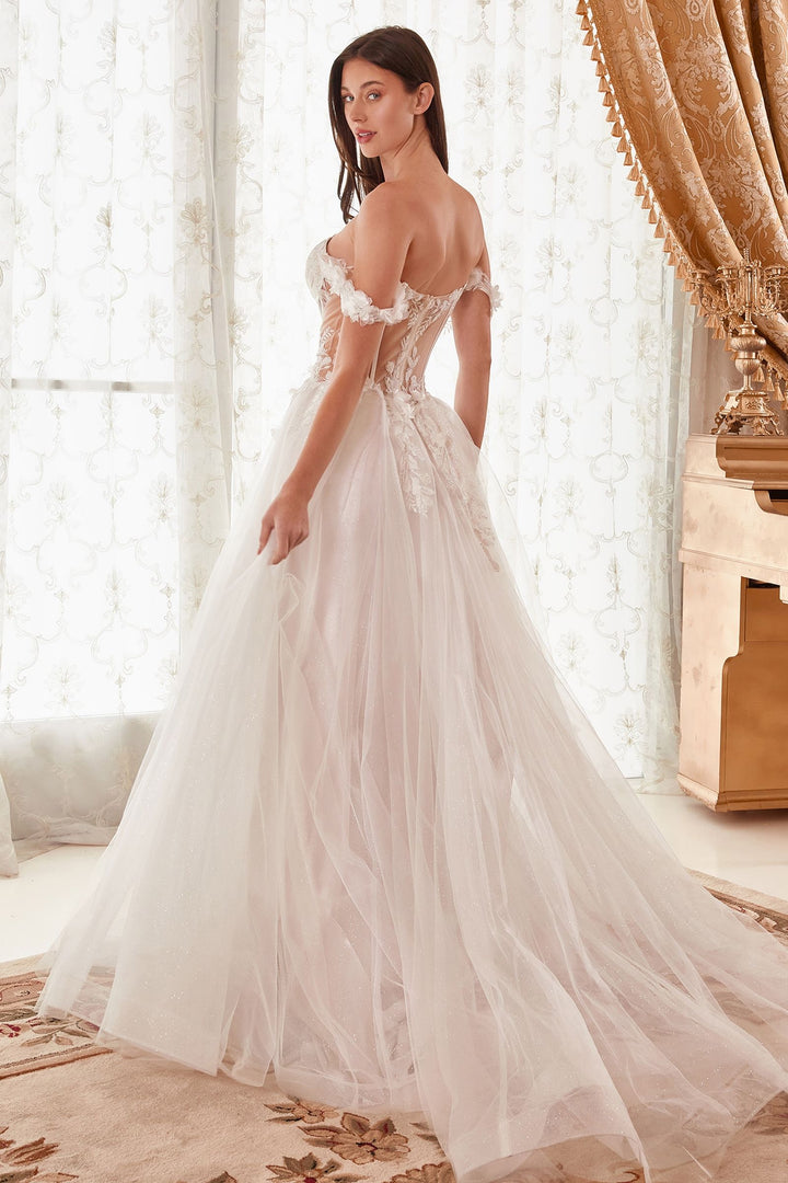 Off Shoulder Floral Applique A-Line Long Wedding Dress CDWN308-2